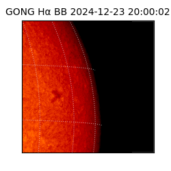 gong - 2024-12-23T20:00:02