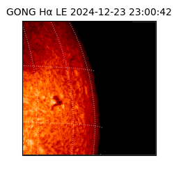gong - 2024-12-23T23:00:42