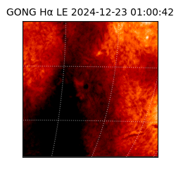 gong - 2024-12-23T01:00:42