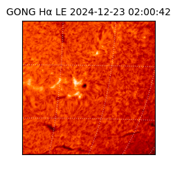 gong - 2024-12-23T02:00:42