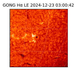 gong - 2024-12-23T03:00:42