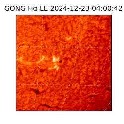 gong - 2024-12-23T04:00:42