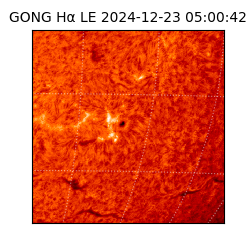 gong - 2024-12-23T05:00:42