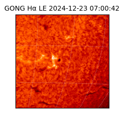 gong - 2024-12-23T07:00:42