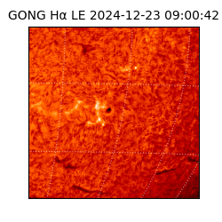 gong - 2024-12-23T09:00:42