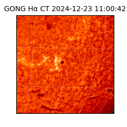 gong - 2024-12-23T11:00:42