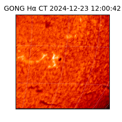 gong - 2024-12-23T12:00:42