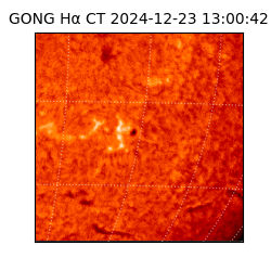 gong - 2024-12-23T13:00:42