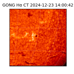 gong - 2024-12-23T14:00:42