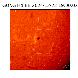 gong - 2024-12-23T19:00:02