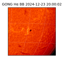 gong - 2024-12-23T20:00:02