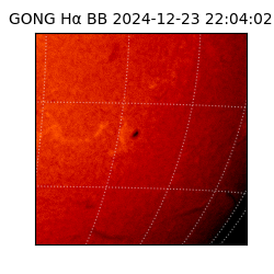 gong - 2024-12-23T22:04:02
