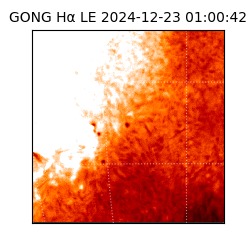 gong - 2024-12-23T01:00:42