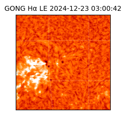 gong - 2024-12-23T03:00:42