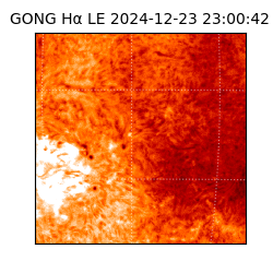 gong - 2024-12-23T23:00:42