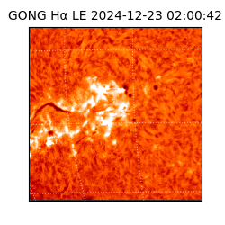 gong - 2024-12-23T02:00:42