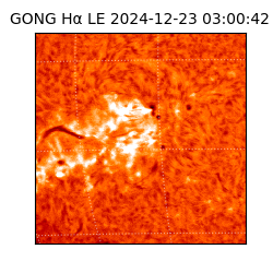 gong - 2024-12-23T03:00:42