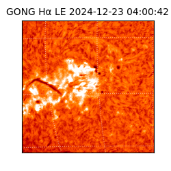 gong - 2024-12-23T04:00:42