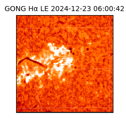 gong - 2024-12-23T06:00:42