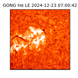 gong - 2024-12-23T07:00:42