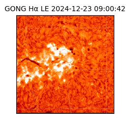 gong - 2024-12-23T09:00:42