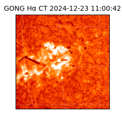 gong - 2024-12-23T11:00:42