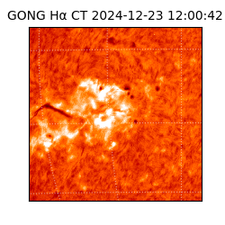 gong - 2024-12-23T12:00:42