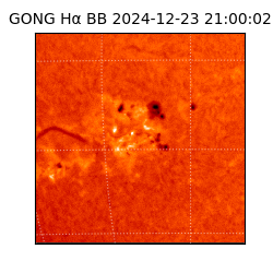 gong - 2024-12-23T21:00:02