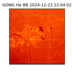gong - 2024-12-23T22:04:02