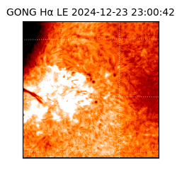 gong - 2024-12-23T23:00:42