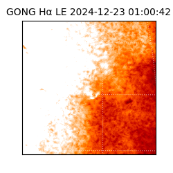 gong - 2024-12-23T01:00:42