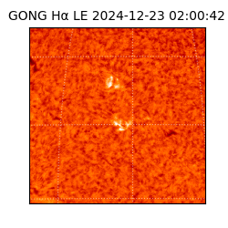 gong - 2024-12-23T02:00:42