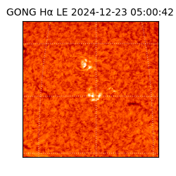 gong - 2024-12-23T05:00:42