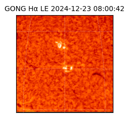 gong - 2024-12-23T08:00:42