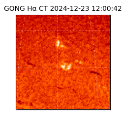 gong - 2024-12-23T12:00:42