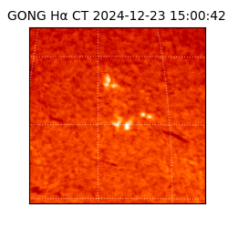 gong - 2024-12-23T15:00:42