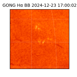 gong - 2024-12-23T17:00:02