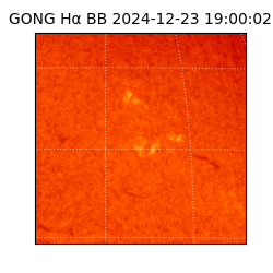 gong - 2024-12-23T19:00:02