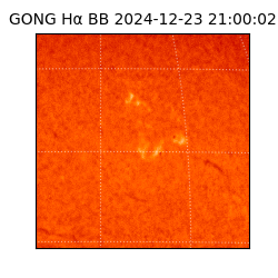 gong - 2024-12-23T21:00:02