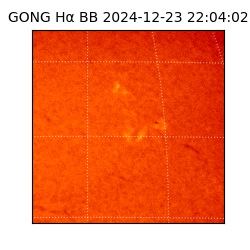gong - 2024-12-23T22:04:02