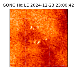 gong - 2024-12-23T23:00:42
