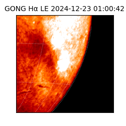 gong - 2024-12-23T01:00:42