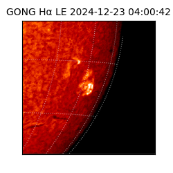gong - 2024-12-23T04:00:42