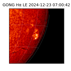 gong - 2024-12-23T07:00:42