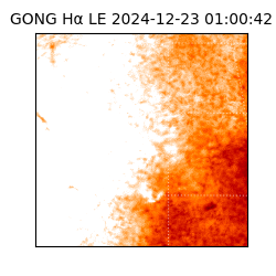 gong - 2024-12-23T01:00:42