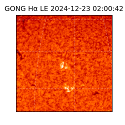 gong - 2024-12-23T02:00:42