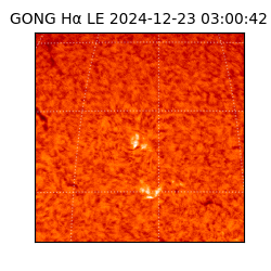 gong - 2024-12-23T03:00:42