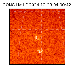 gong - 2024-12-23T04:00:42