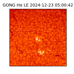 gong - 2024-12-23T05:00:42