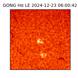 gong - 2024-12-23T06:00:42